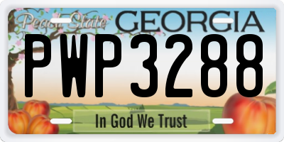 GA license plate PWP3288