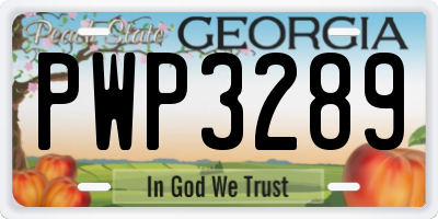 GA license plate PWP3289