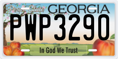 GA license plate PWP3290