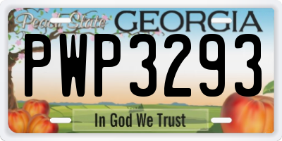 GA license plate PWP3293