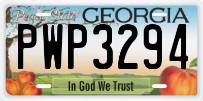GA license plate PWP3294