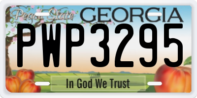 GA license plate PWP3295