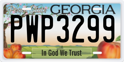 GA license plate PWP3299