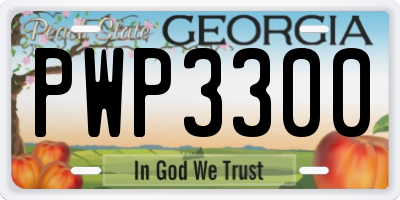 GA license plate PWP3300
