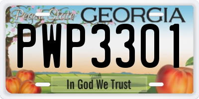 GA license plate PWP3301