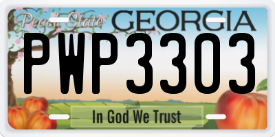 GA license plate PWP3303
