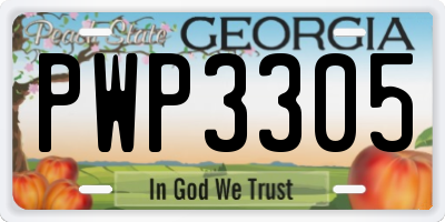GA license plate PWP3305