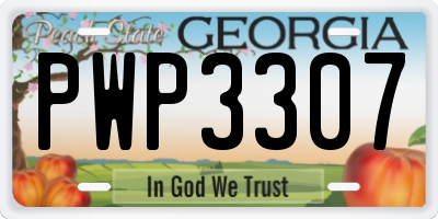 GA license plate PWP3307