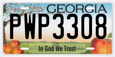 GA license plate PWP3308