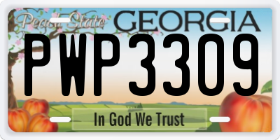 GA license plate PWP3309