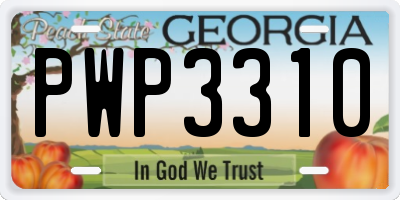 GA license plate PWP3310