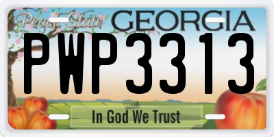 GA license plate PWP3313