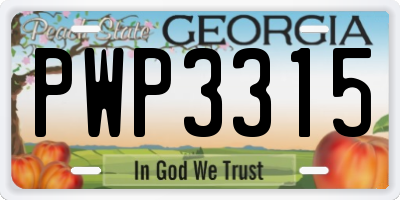 GA license plate PWP3315