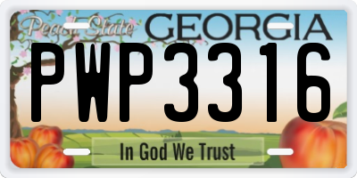 GA license plate PWP3316