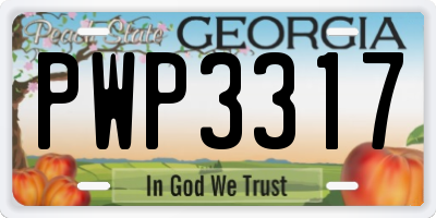 GA license plate PWP3317
