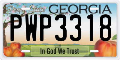 GA license plate PWP3318