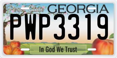 GA license plate PWP3319