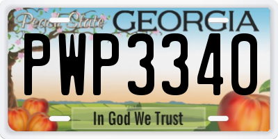 GA license plate PWP3340