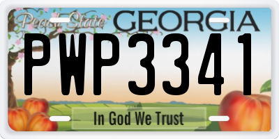 GA license plate PWP3341