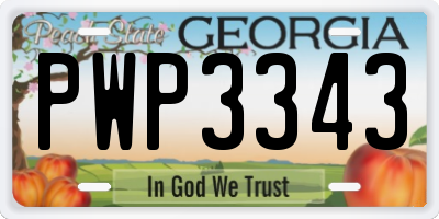 GA license plate PWP3343