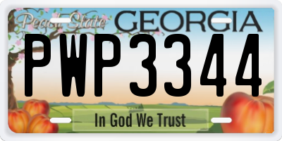 GA license plate PWP3344