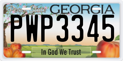GA license plate PWP3345