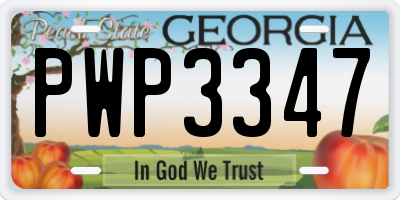 GA license plate PWP3347