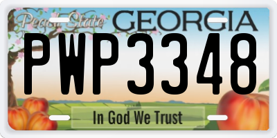 GA license plate PWP3348
