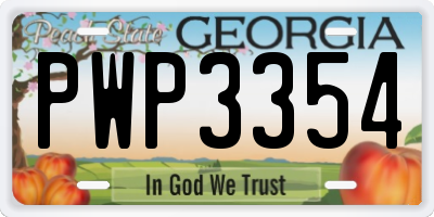 GA license plate PWP3354