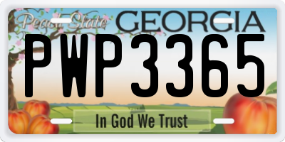 GA license plate PWP3365