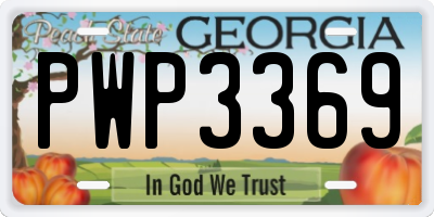 GA license plate PWP3369