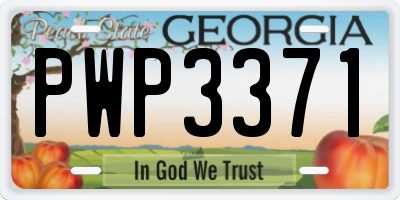 GA license plate PWP3371