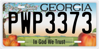 GA license plate PWP3373