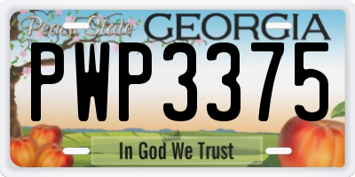 GA license plate PWP3375