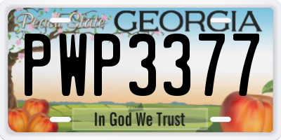 GA license plate PWP3377