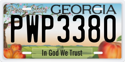 GA license plate PWP3380