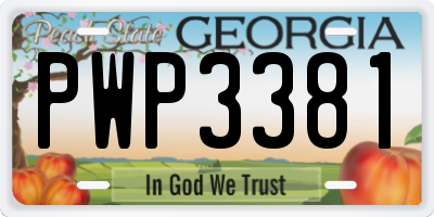 GA license plate PWP3381