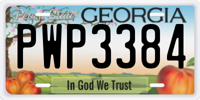GA license plate PWP3384