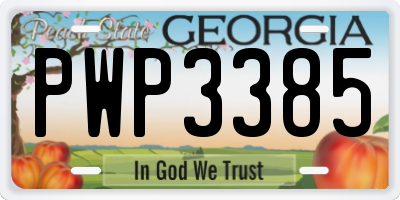 GA license plate PWP3385