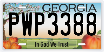 GA license plate PWP3388