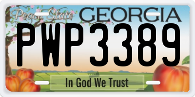 GA license plate PWP3389