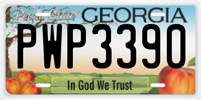 GA license plate PWP3390