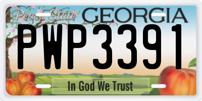 GA license plate PWP3391
