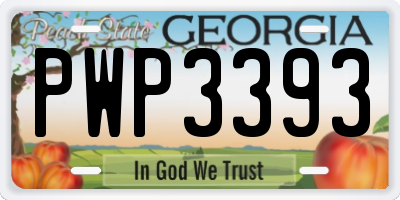 GA license plate PWP3393