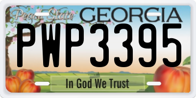 GA license plate PWP3395