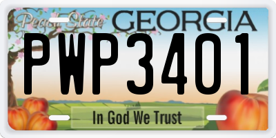 GA license plate PWP3401