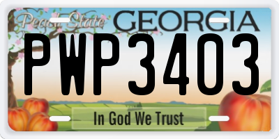 GA license plate PWP3403