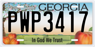 GA license plate PWP3417