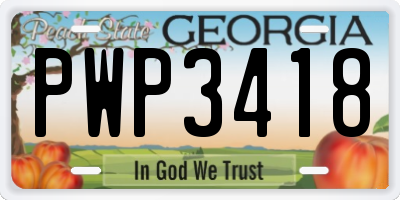 GA license plate PWP3418