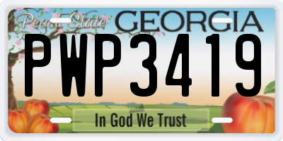 GA license plate PWP3419